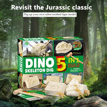 Load image into Gallery viewer, Dinosaur Fossil Dig Excavation Kit
